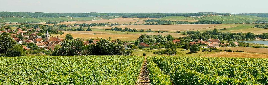 Quiz : Champagne-Ardenne 